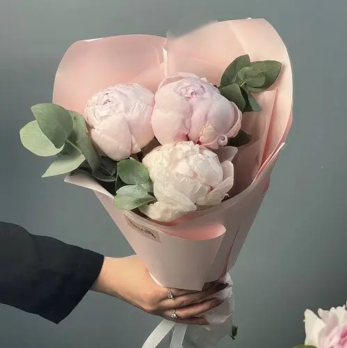 Заказать Букет из 7 розовых пионов с доставкой по СПб | Цветы недорого в  интернет-магазине цветов Флористка Кэт
