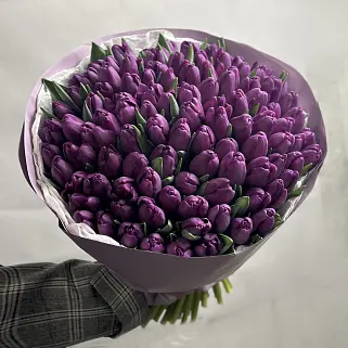 Букет из 101 фиолетового тюльпана