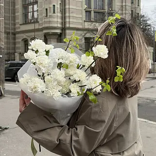 БУКЕТ НЕДЕЛИ M: 25 белых гвоздик