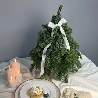 Ёлочка Natural