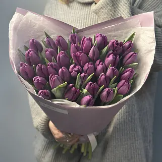 Букет из 35 фиолетовых тюльпанов