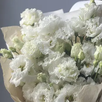 Букет из 5 белых эустом