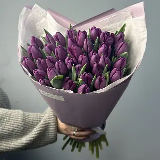Букет из 35 фиолетовых тюльпанов