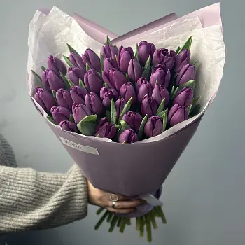 Букет из 35 фиолетовых тюльпанов