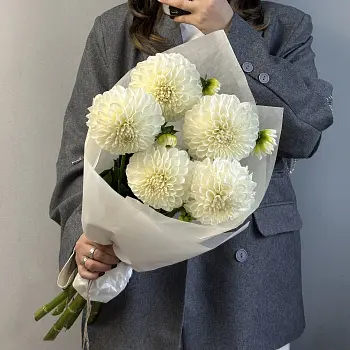 Букет из 5 белых георгинов