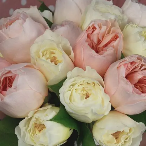 Свадебный букет невесты из пионовидных роз