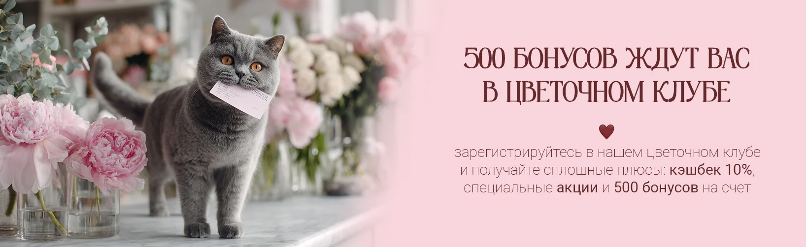 десктоп - 500б