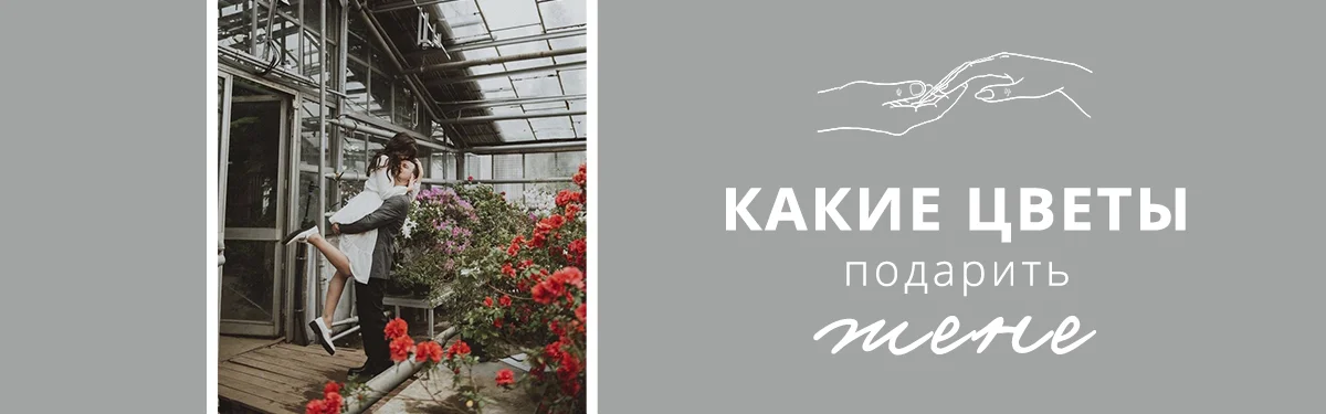 Какие цветы подарить жене?