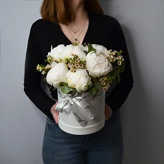 Букет в шляпной коробке из 7 белых пионов и ваксфлауэра