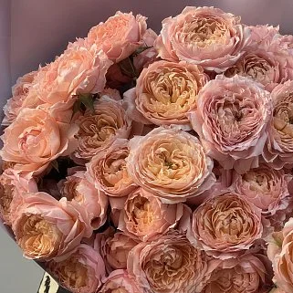 Букет из 15 кустовых пионовидных роз Juliet