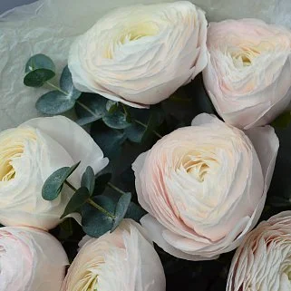 Букет из 7 ранункулюсов XL