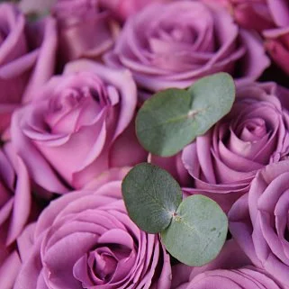 Букет роз Deep Purple M