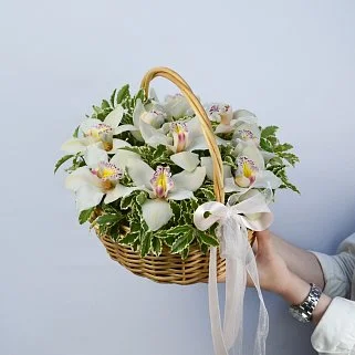 Корзина с орхидеями Комплимент