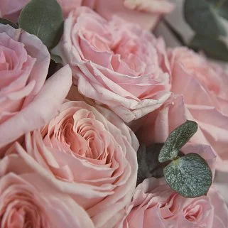 Букет пионовидных роз Pink O'Hara премиум