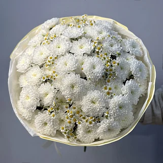 Дуо-букет хризантем Baltica и матрикарии M