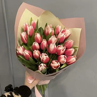 Букет из 25 бело-малиновых тюльпанов