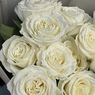 Букет из 11 белых роз Playa Blanca