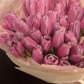 Букет из 51 махрового тюльпана
