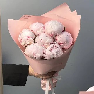 Букет из 7 розовых пионов