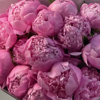 Букет из 15 ярко-розовых пионов