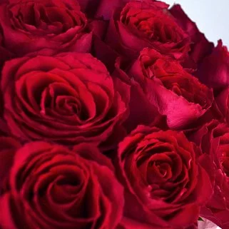 Букет в шляпной коробке из 35 ярко-розовых роз (Кения)