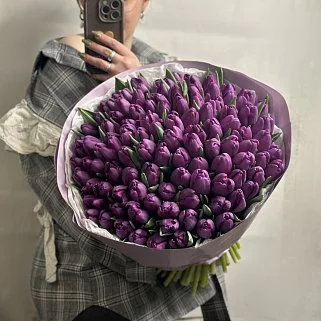 Букет из 101 фиолетового тюльпана
