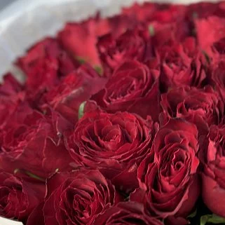 Букет из 25 красных роз 50см (Кения)