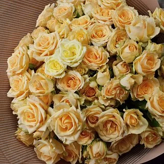 Букет из 25 желтых кустовых роз