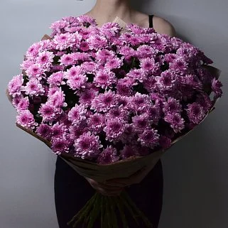 Букет из 25 кустовых хризантем