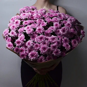 Букет из 25 кустовых хризантем