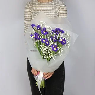 Букет из 9 ирисов и гипсофилы
