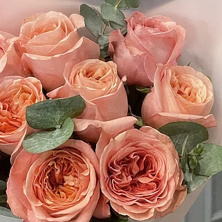 Букет пионовидных роз Pink Expression и эвкалипта