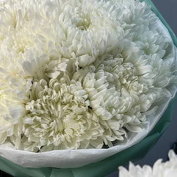 Букет из 11 белых хризантем