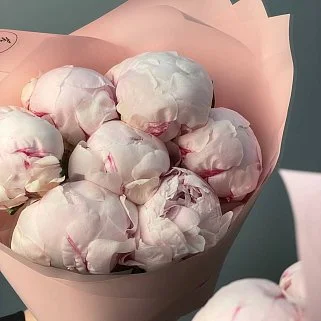 Букет из 7 розовых пионов