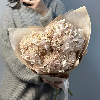 Букет из 3 розовых гортензий