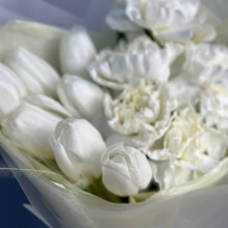 Дуо-букет белых тюльпанов и гвоздик S