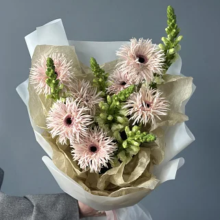 Дуо-букет сортовых гербер и антирринума M