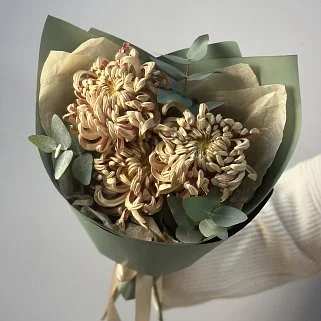 Букет из 3 хризантем Vienna Copper