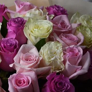 Букет из 25 роз в розовых тонах