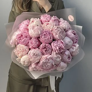 Букет из 25 розовых пионов