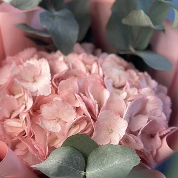 Букет розовой гортензии
