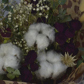 Букет сухоцветов Леопард