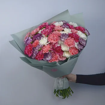 Букет из 51 диантуса