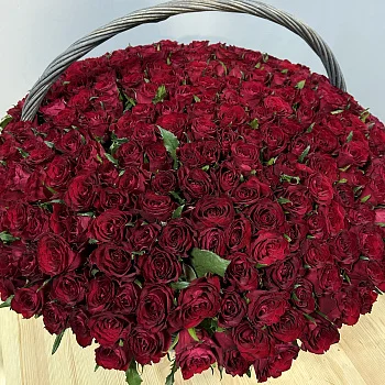 Композиция из 301 розы в корзине
