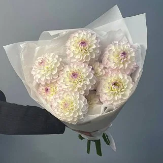 Букет из 9 бело-лиловых георгинов