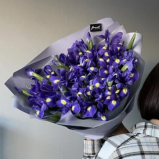Букет из 51 ириса