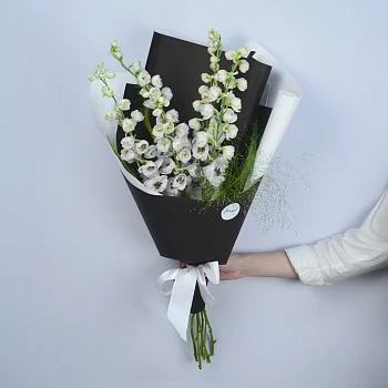 Букет из 5 белых дельфиниумов