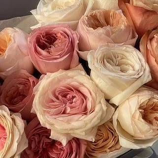 Букет пионовидных роз (микс)
