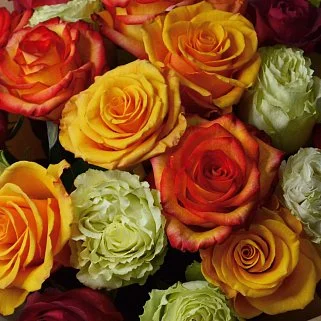 Букет из 25 роз в теплых тонах