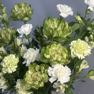 Цветочная корзинка Одним весенним утром